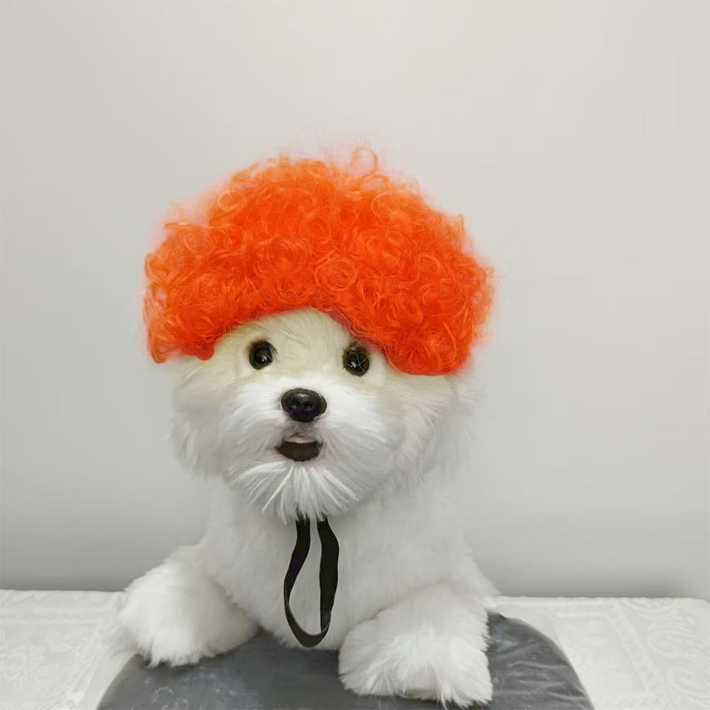 funny cat wearing cosplay wig
