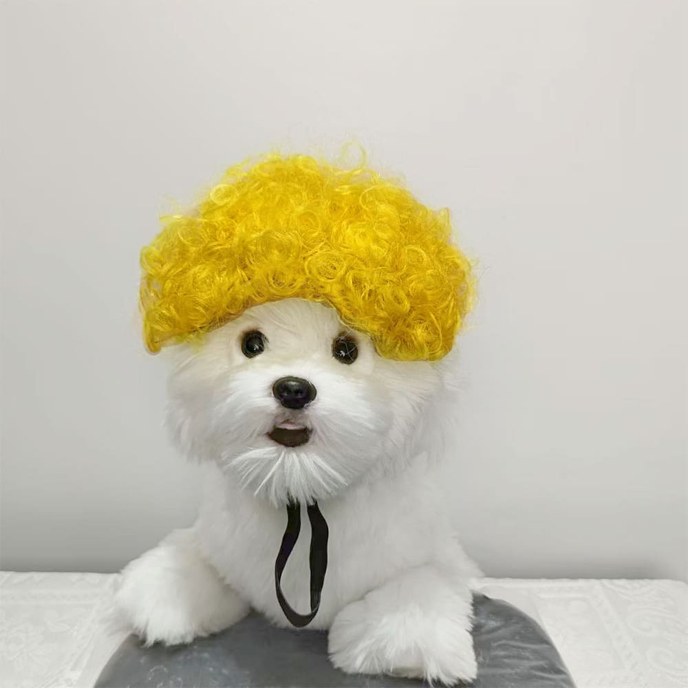 funny cat wearing cosplay wig