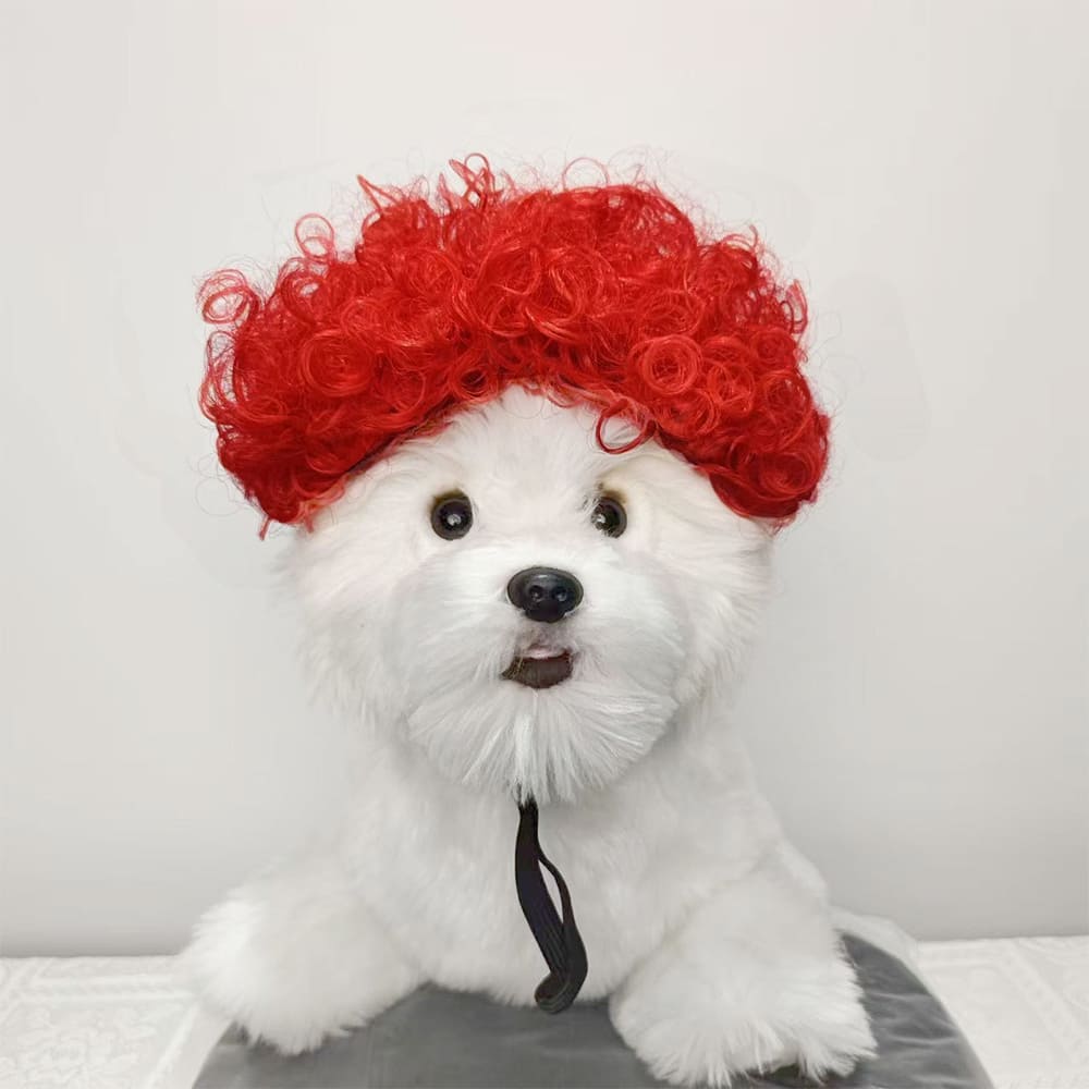 funny cat wearing cosplay wig