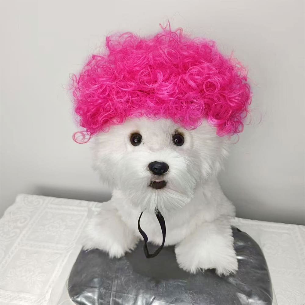 funny cat wearing cosplay wig