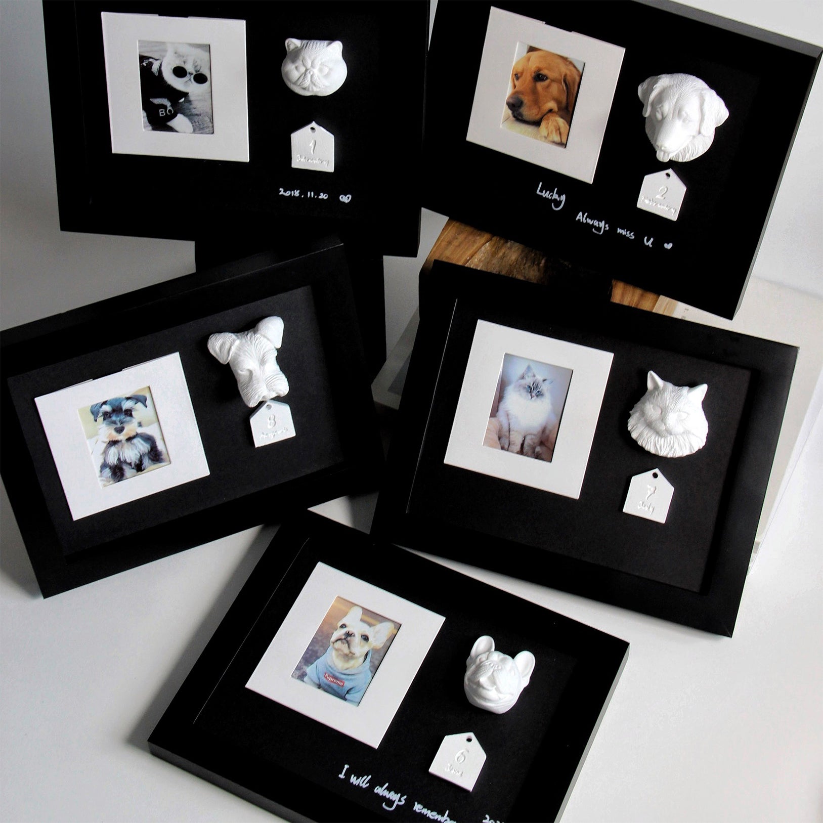 Pet commemorative photo frame customized photo birthday gift for cats and dogs