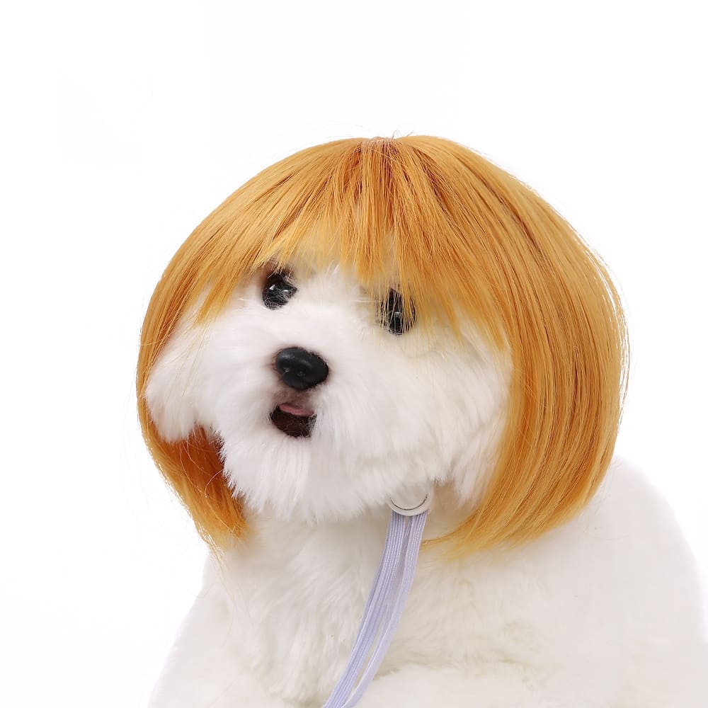 Funny Dog Cat Cosplay Wig, Pet Wigs for Halloween, Christmas, Parties, Festivals, Dog Wigs for Small Medium and Large Dogs