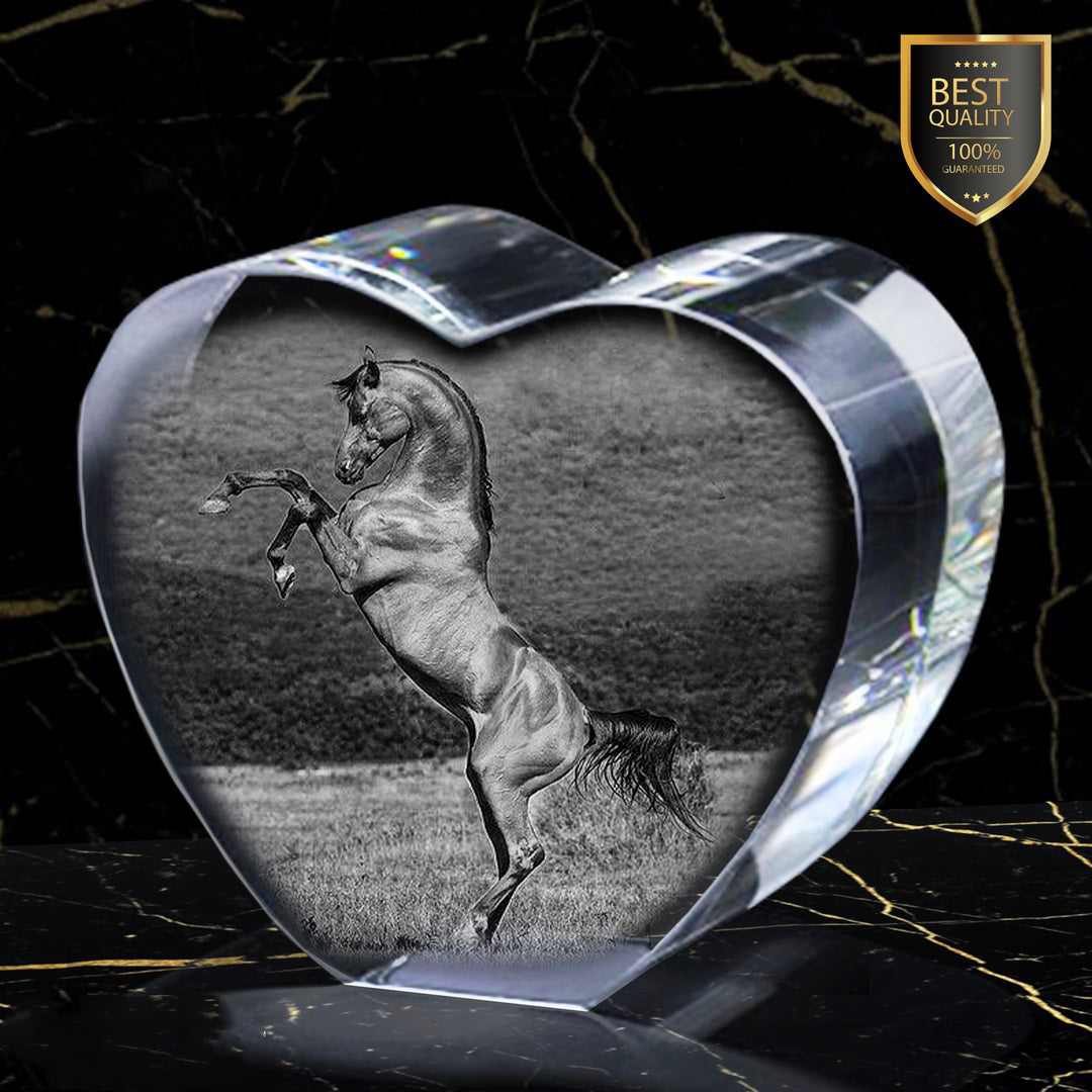 Custom Round Crystal Photo with Pet Portrait Personalized Laser Engraved Picture Gift