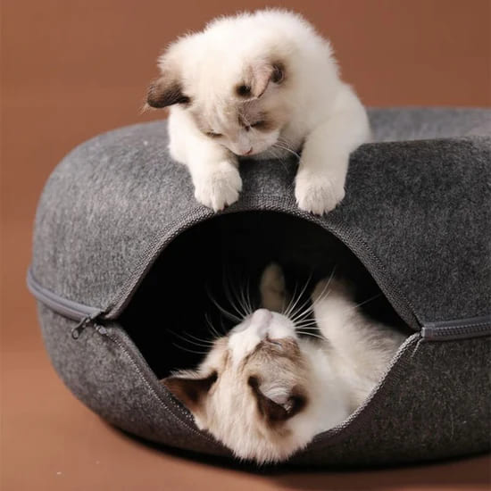 Cat Tunnel and Bed - Soft & Comfortable Pet Hideaway for Cats Lucky Pet