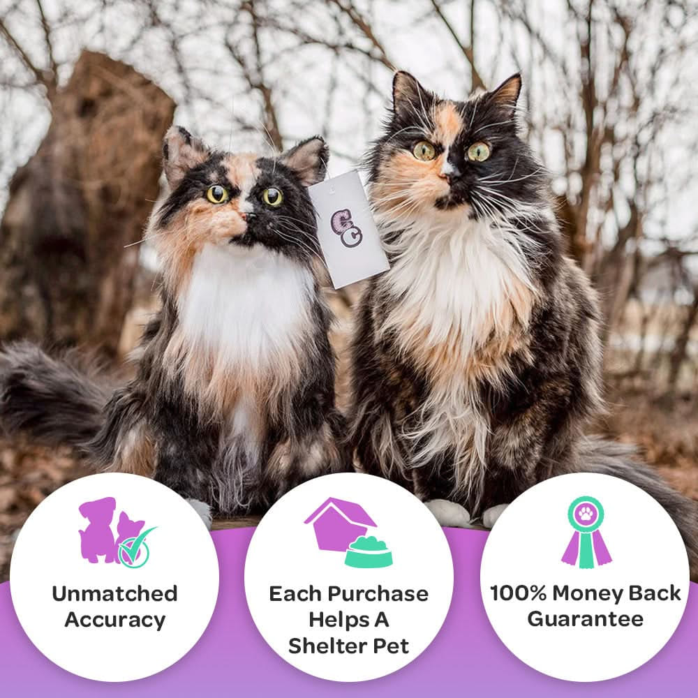 Custom Pet Plush – Realistic Stuffed Animal Clone of Your Dog or Cat