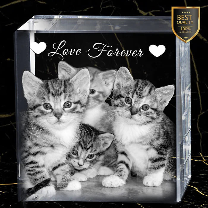 custom 3D crystal photo of tabby cat named Hani