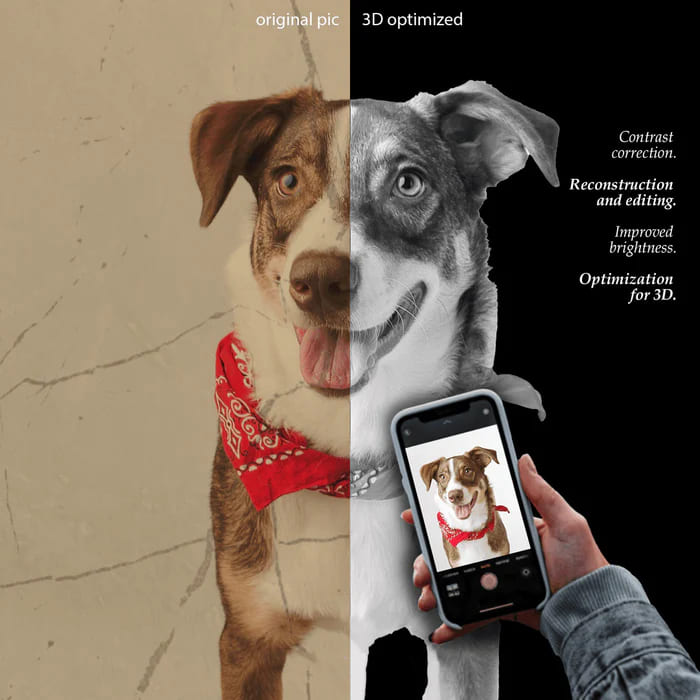 custom 3D crystal photo of tabby cat named Hani