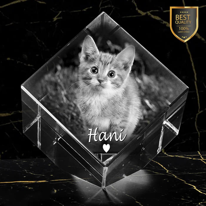 custom 3D crystal photo of tabby cat named Hani