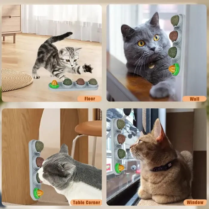 Catnip Ball Toy – Fun & Engaging for Cats Lucky Pet