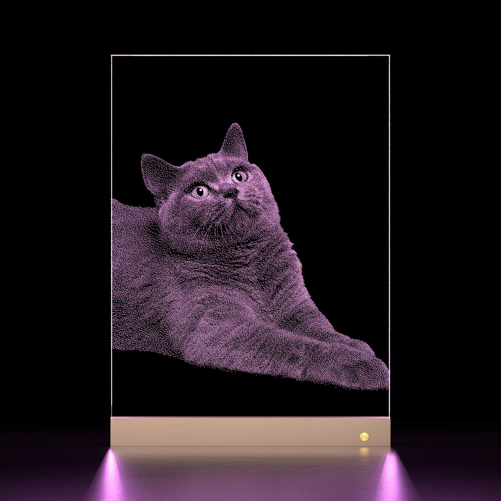 Pethandmade Custom Glass Pet Portrait – Memorial Pet Gift