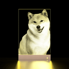 Pethandmade Custom Glass Pet Portrait – Memorial Pet Gift