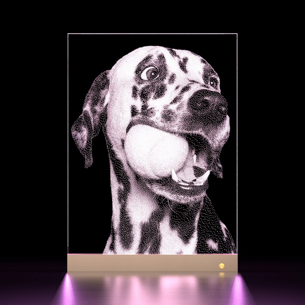 Pethandmade Custom Glass Pet Portrait – Memorial Pet Gift