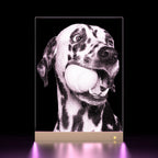 Pethandmade Custom Glass Pet Portrait – Memorial Pet Gift