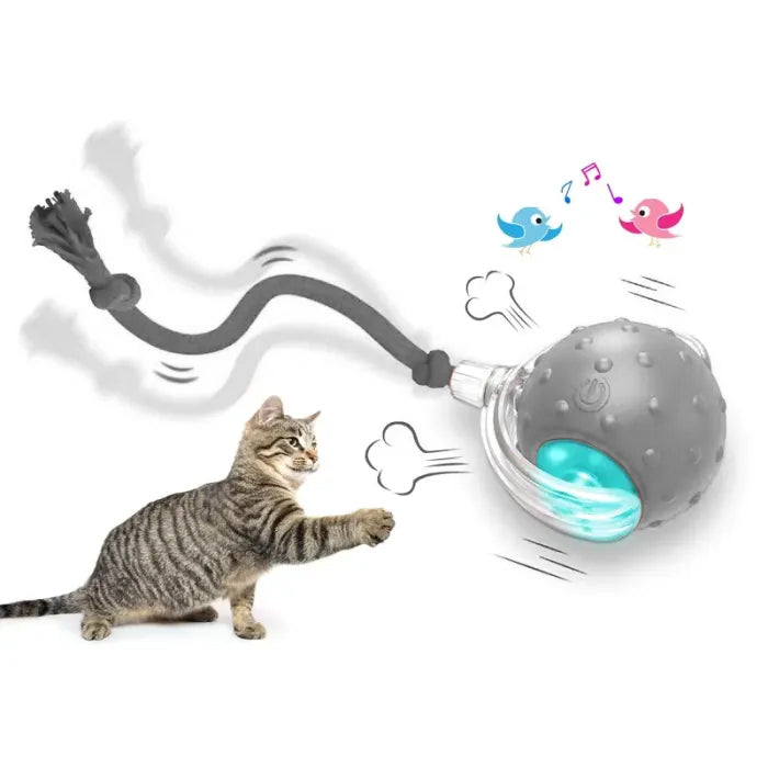 Interactive cat toy ball for indoor cats Fast rolling on carpet, chirping and motion activated cat toys , cat interactive toys, pet gifts.