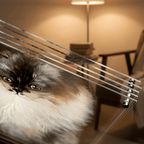 Custom Glass Pet Portrait - Hand-Painted by LuckyPet Lucky Pet