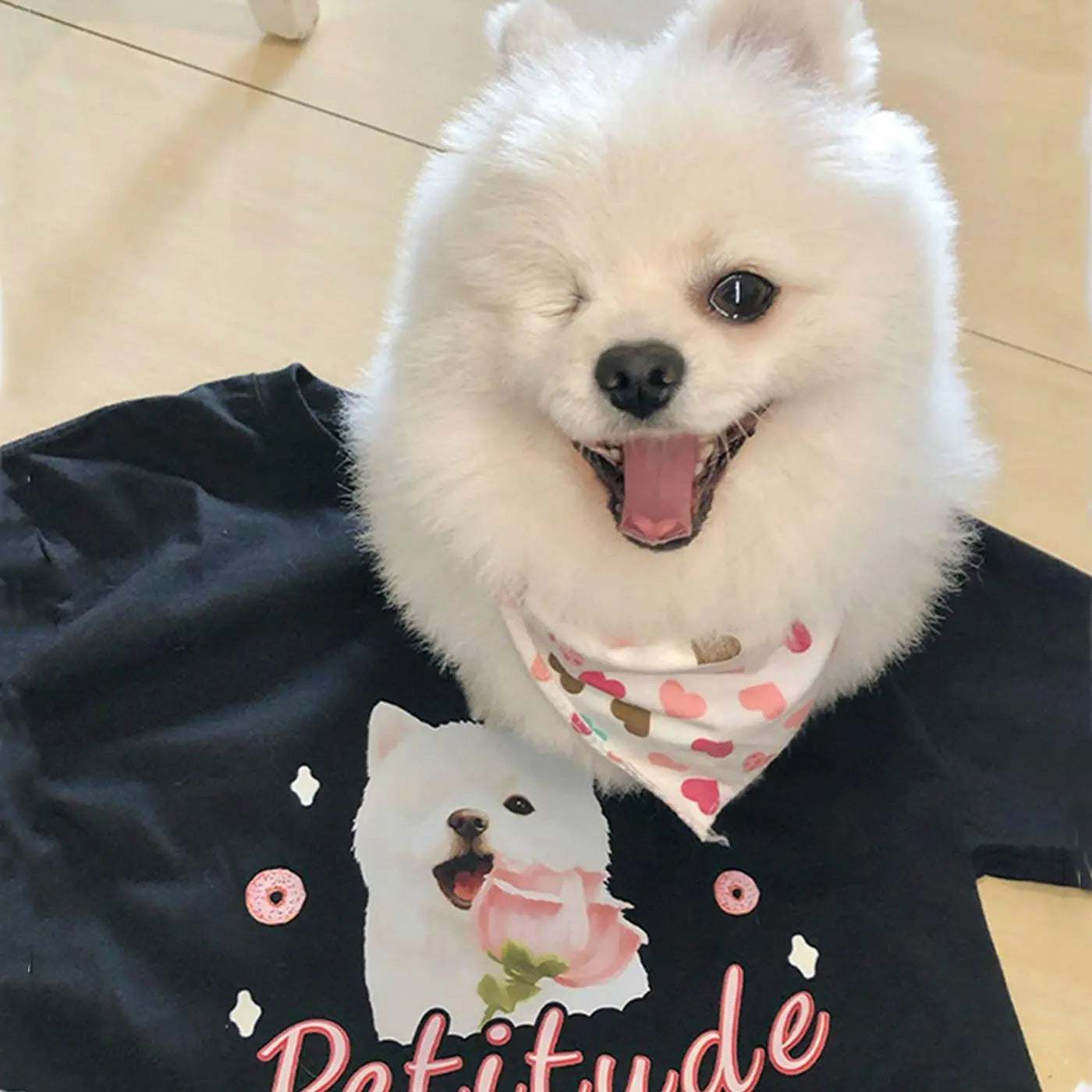 Customized pure cotton short-sleeved T-shirt with pet pattern printing, same style for men and women|Personalized pet print T-shirt - Luck