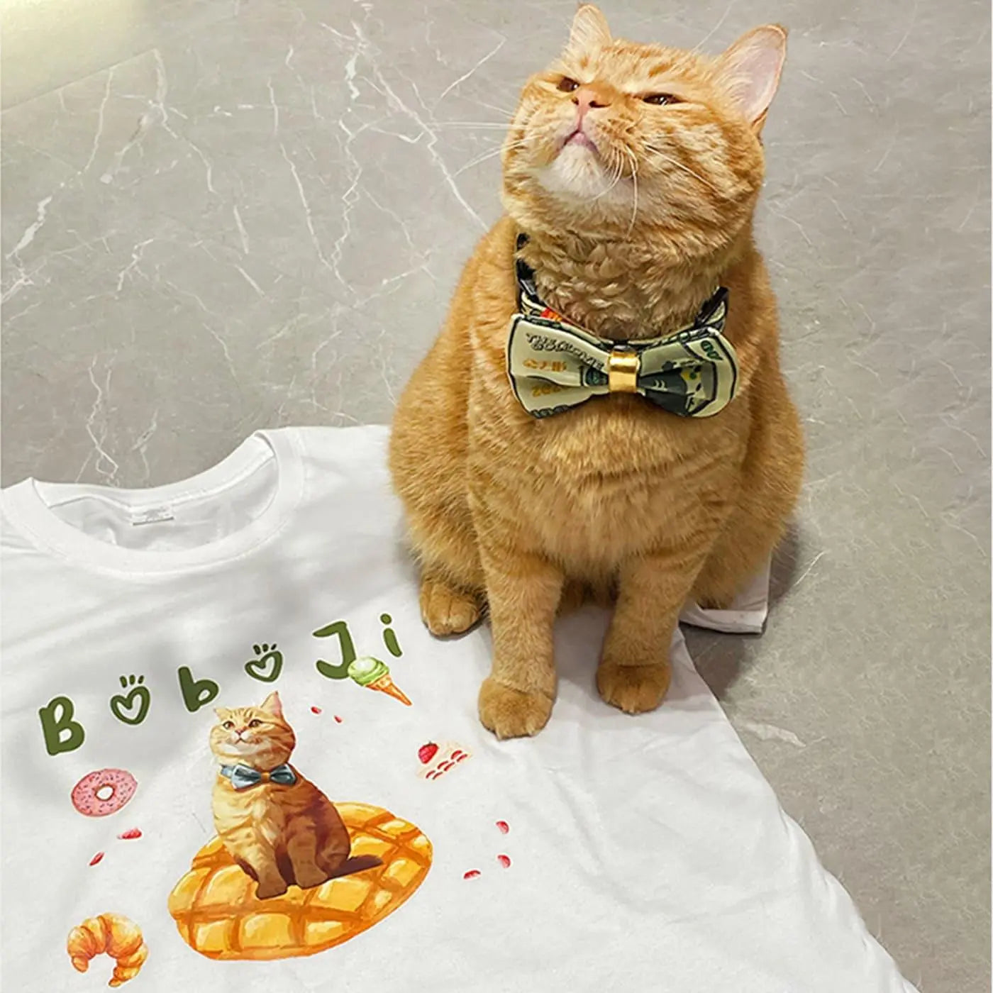 Custom Pet T Shirts – Personalized Dog & Cat Photo Tee