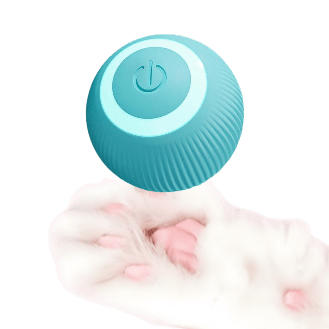 Interactive Dog Ball that won't be immediately destroyed