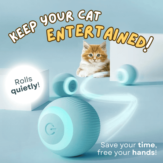 Pet Smart Interactive Toy Ball – Motion Activated for Cats & Dogs Lucky Pet