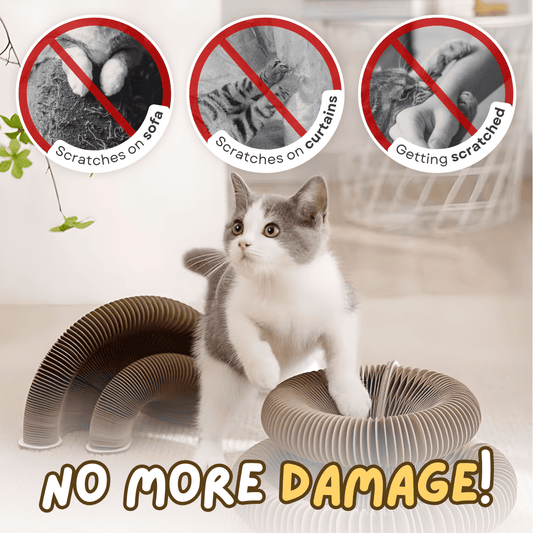 Cat Scratcher – Transformable & Space-Saving Lucky Pet