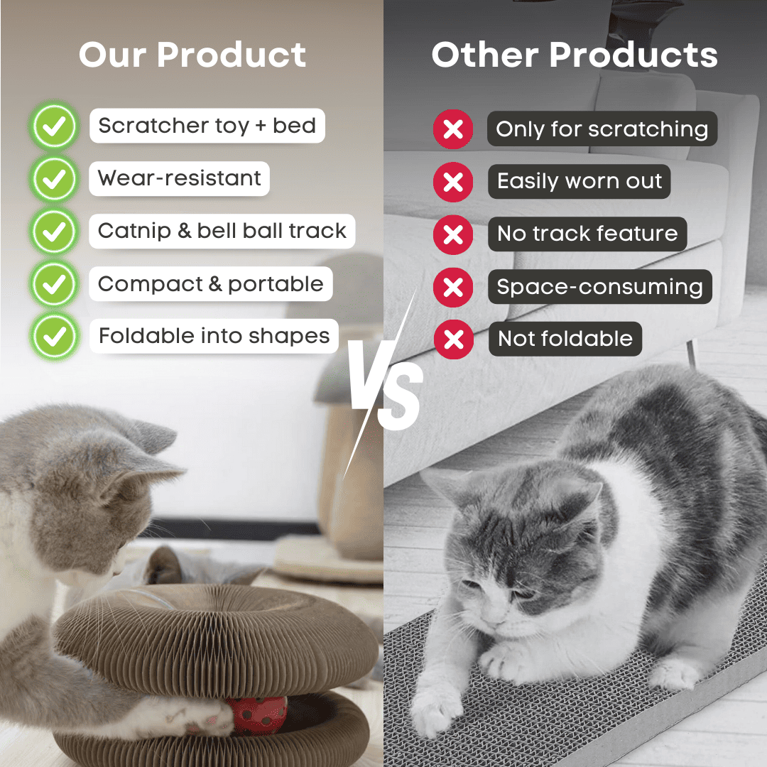 Cat Scratcher – Transformable & Space-Saving Lucky Pet