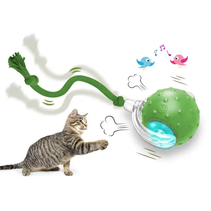 Interactive cat toy ball for indoor cats Fast rolling on carpet, chirping and motion activated cat toys , cat interactive toys, pet gifts.