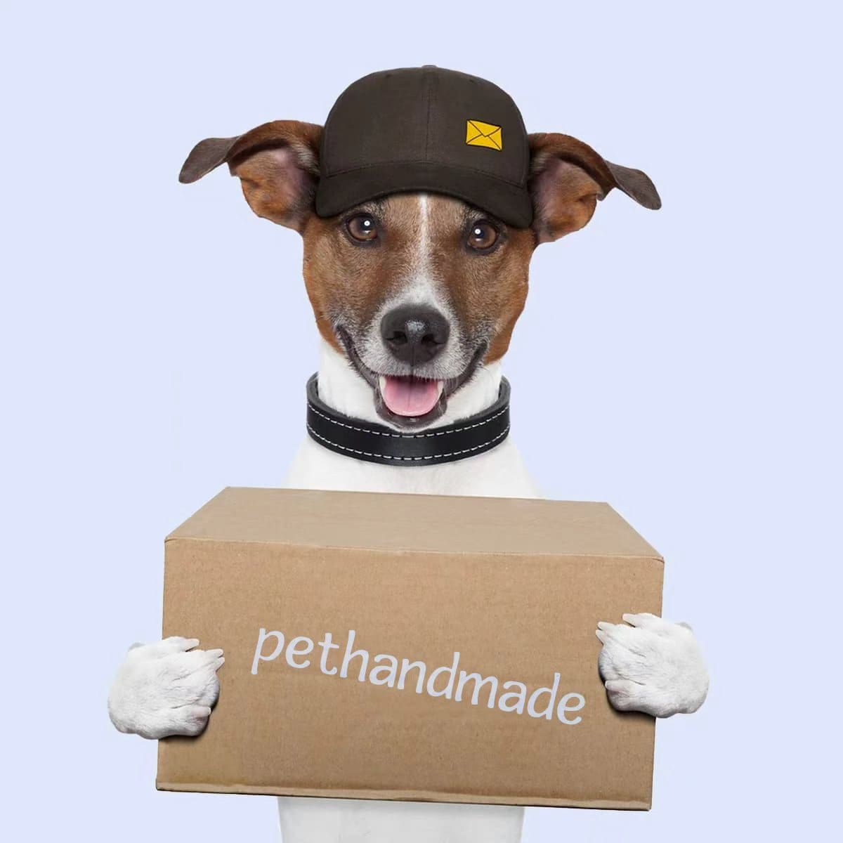 ✈️ Free Air Shipping Worldwide